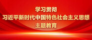 欧美大鸡巴狂操贱屄学习贯彻习近平新时代中国特色社会主义思想主题教育_fororder_ad-371X160(2)